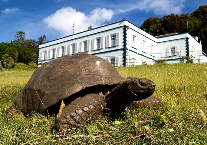 Jonathan-in-front-of-Plantation-House_tcm25-561894