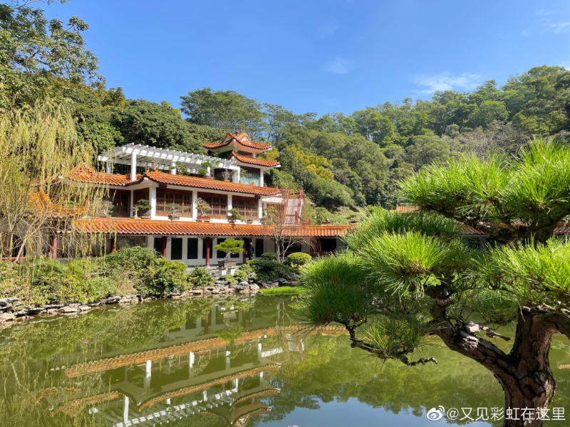 仙湖植物園被國家旅遊局評為國家AAAA級風(fēng)景區(qū)。（圖片來源：小紅書@又見彩虹在這里）