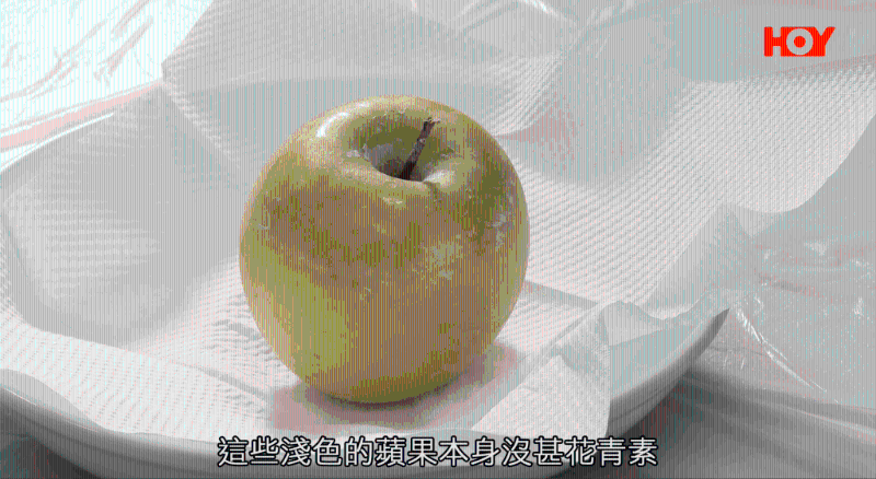 8_0_46