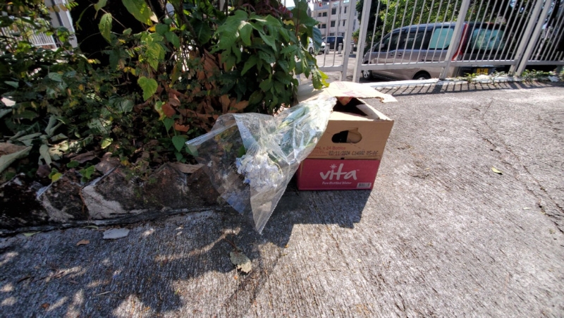 距進(jìn)兇案單位約50米外，有人在樹下擺放一個(gè)紙箱，箱內(nèi)放有一束鮮花，悼念女死者蔡天鳳的不幸離世。 （楊偉亨攝）