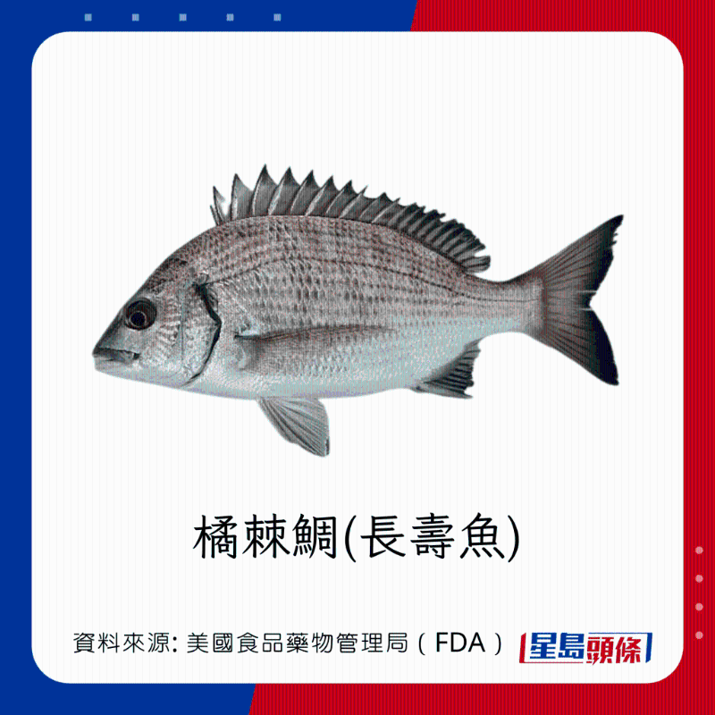 醫(yī)生列62種安全+危險(xiǎn)魚類 應(yīng)該避免 （汞含量最高）