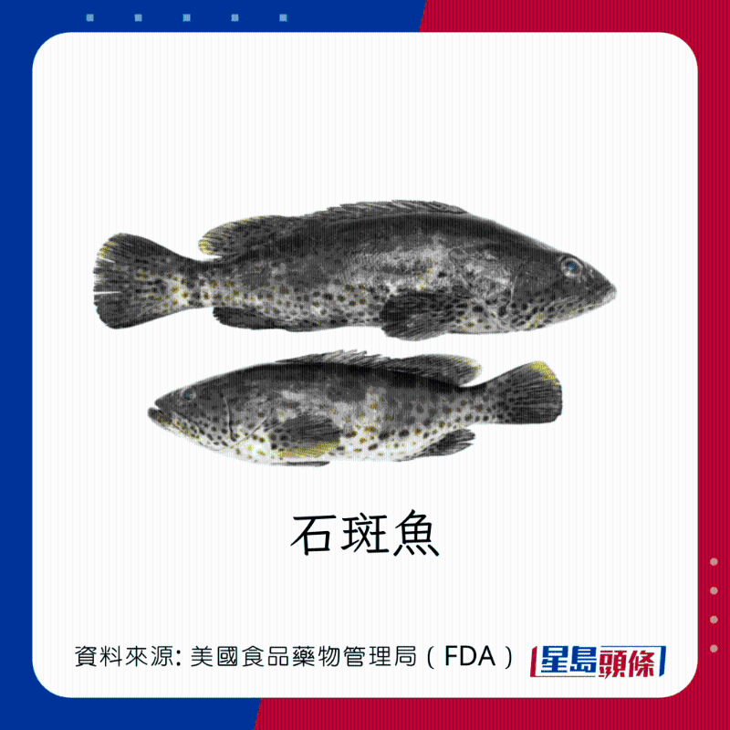 醫(yī)生列62種安全+危險(xiǎn)魚類 良好選擇 （汞含量中等）