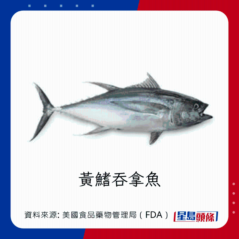 醫(yī)生列62種安全+危險(xiǎn)魚類 良好選擇 （汞含量中等）