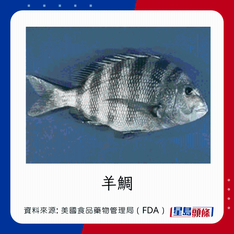 醫(yī)生列62種安全+危險(xiǎn)魚類 良好選擇 （汞含量中等）