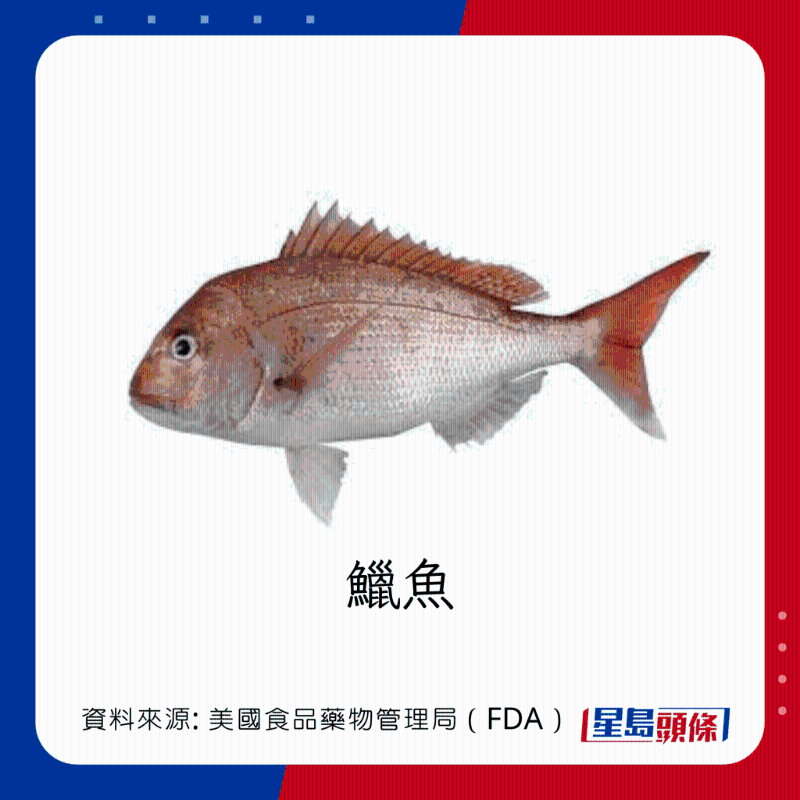 醫(yī)生列62種安全+危險(xiǎn)魚類 良好選擇 （汞含量中等）