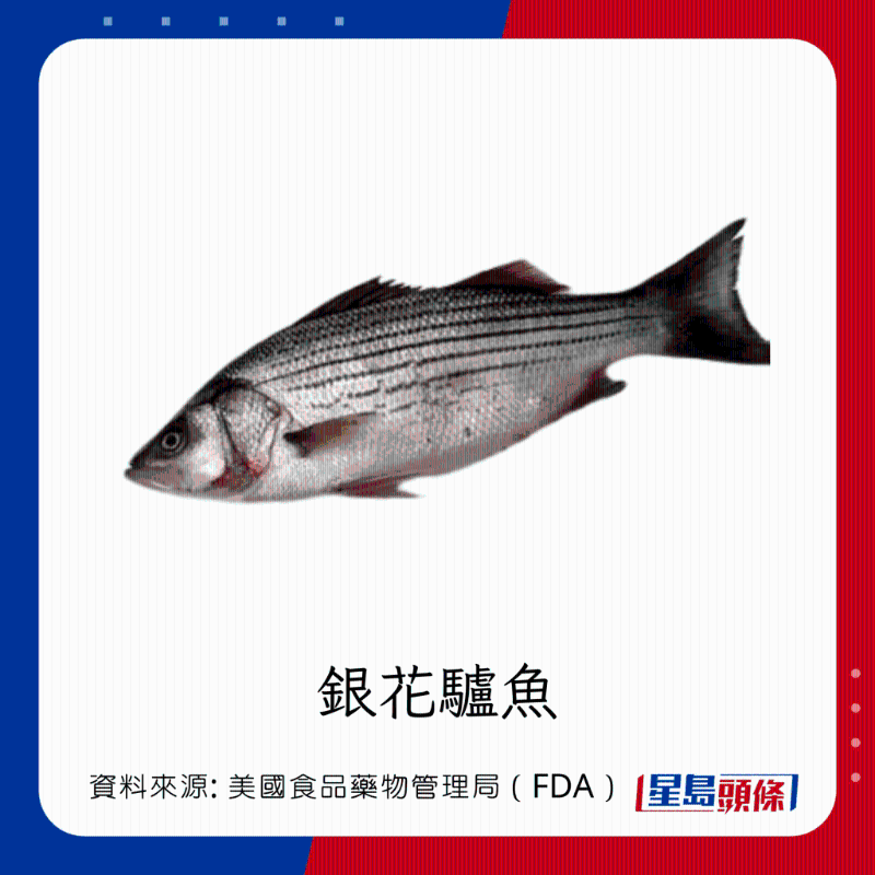 醫(yī)生列62種安全+危險(xiǎn)魚類 良好選擇 （汞含量中等）
