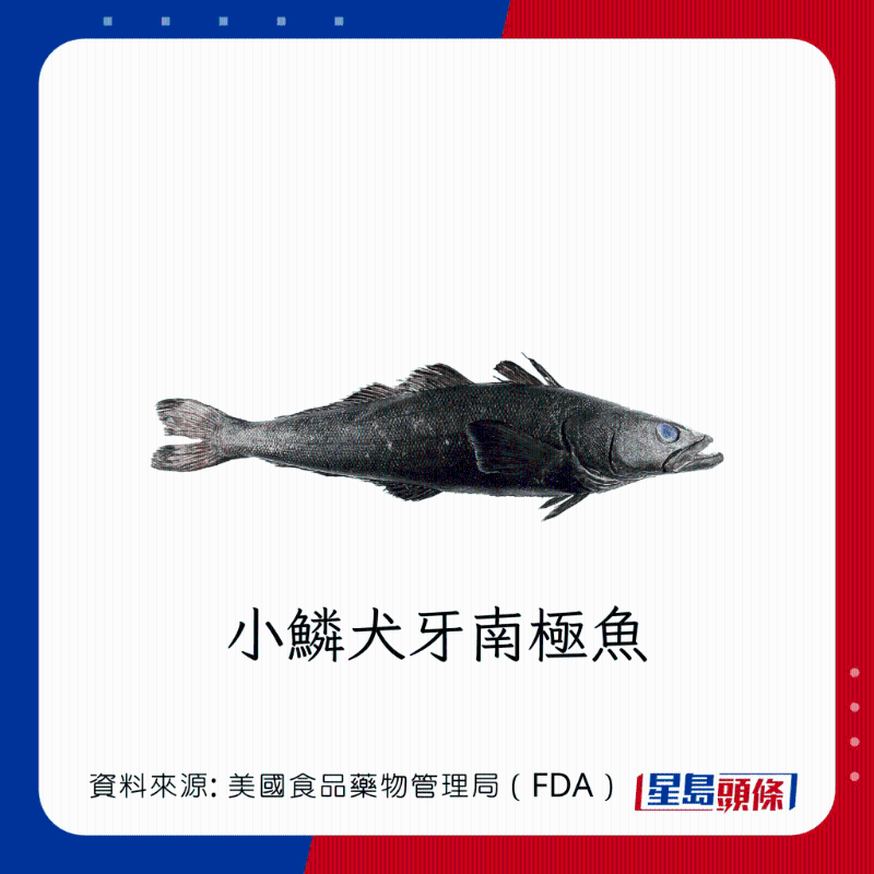 醫(yī)生列62種安全+危險(xiǎn)魚類 良好選擇 （汞含量中等）