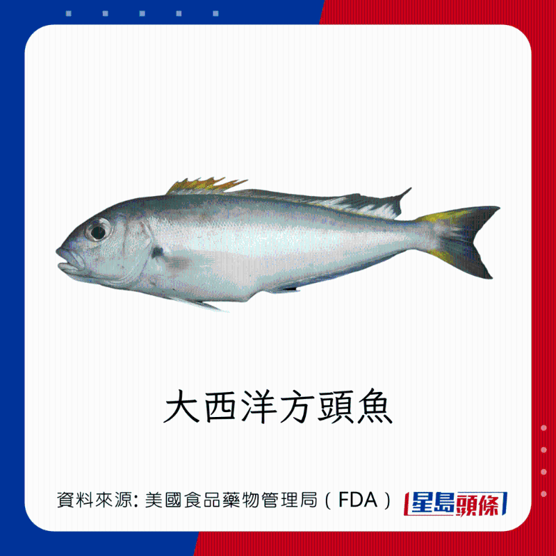 醫(yī)生列62種安全+危險(xiǎn)魚類 良好選擇 （汞含量中等）