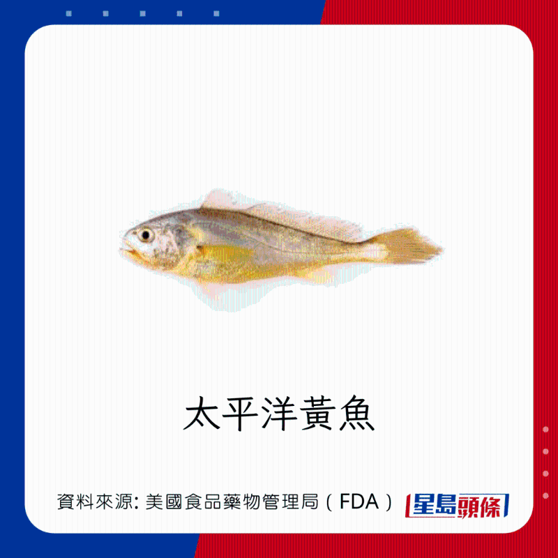 醫(yī)生列62種安全+危險(xiǎn)魚類 良好選擇 （汞含量中等）