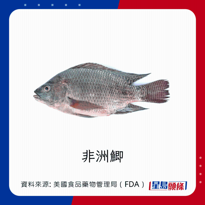 醫(yī)生列62種安全+危險(xiǎn)魚類 最佳選擇 （汞含量最少）