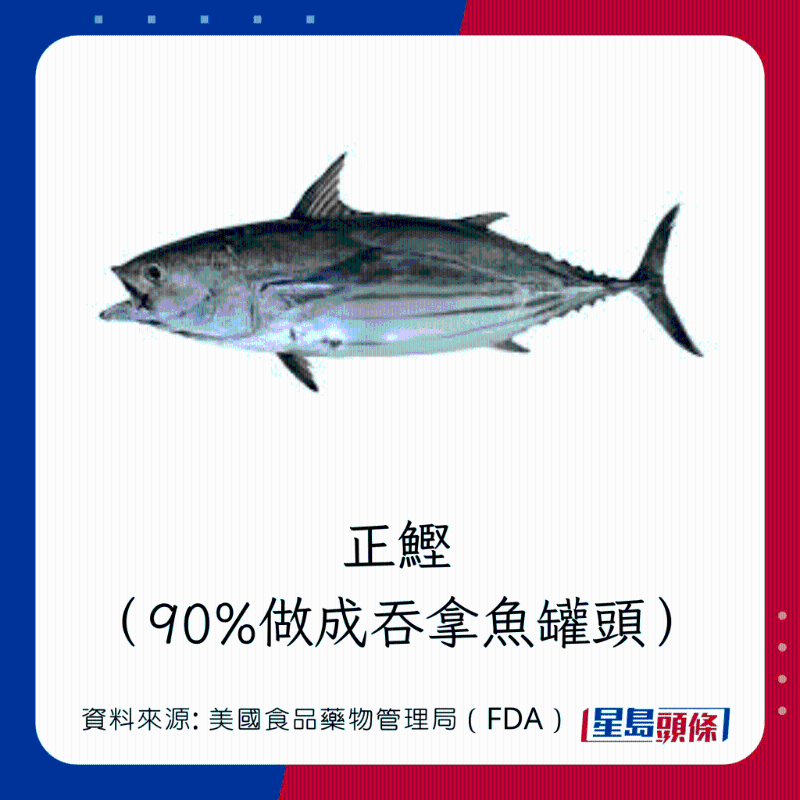 醫(yī)生列62種安全+危險(xiǎn)魚類 最佳選擇 （汞含量最少）