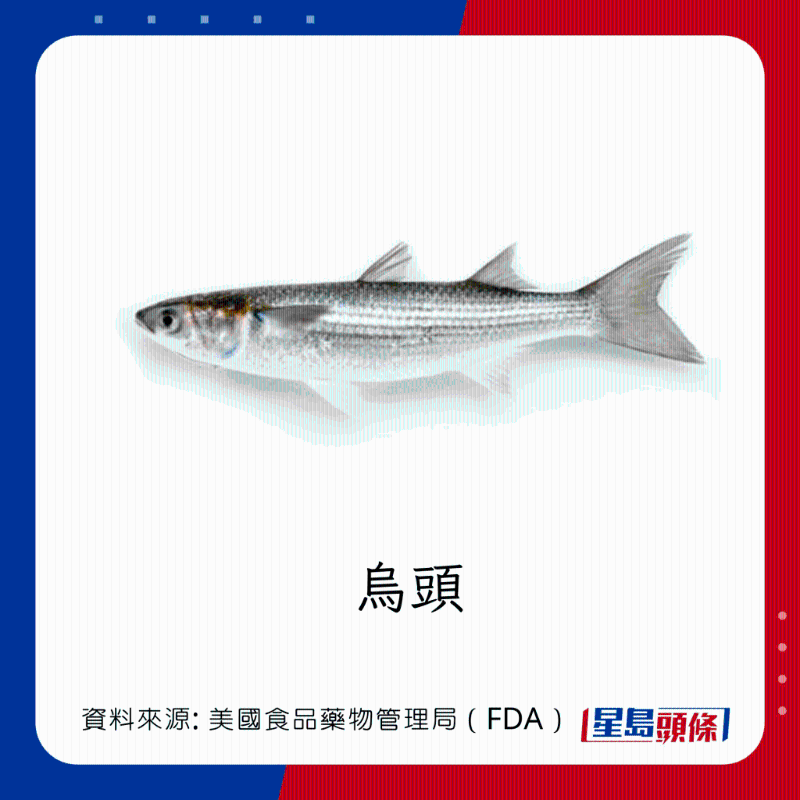 醫(yī)生列62種安全+危險(xiǎn)魚類 最佳選擇 （汞含量最少）