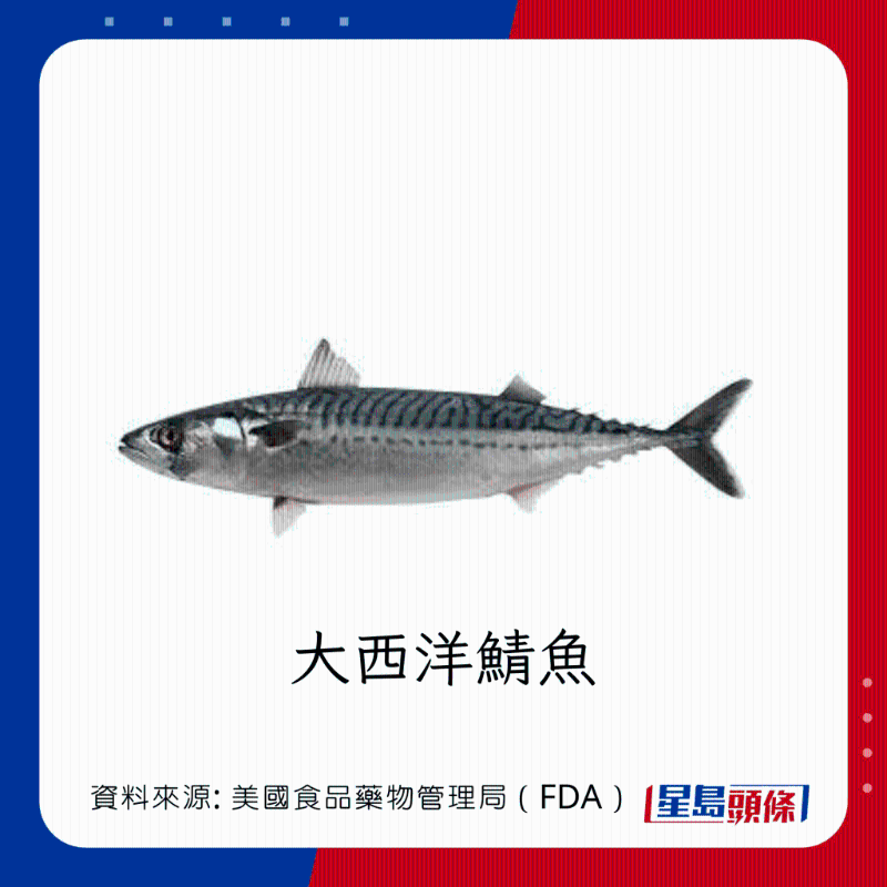 醫(yī)生列62種安全+危險(xiǎn)魚類 最佳選擇 （汞含量最少）