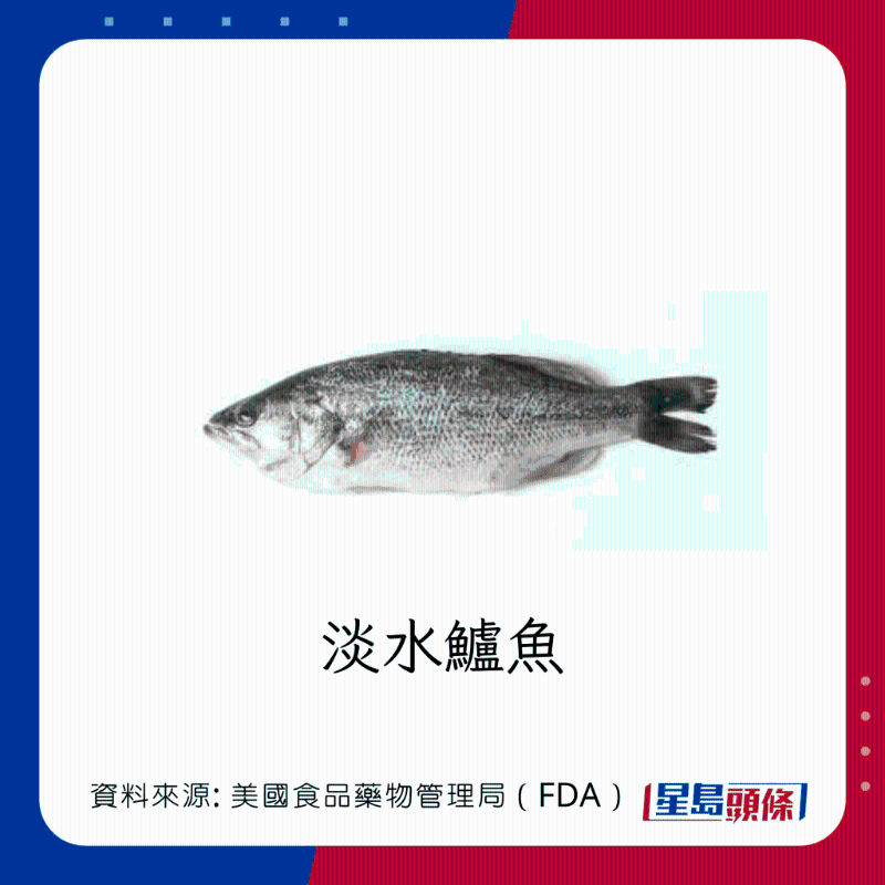 醫(yī)生列62種安全+危險(xiǎn)魚類 最佳選擇 （汞含量最少）