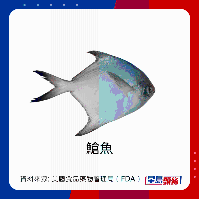 醫(yī)生列62種安全+危險(xiǎn)魚類 最佳選擇 （汞含量最少）