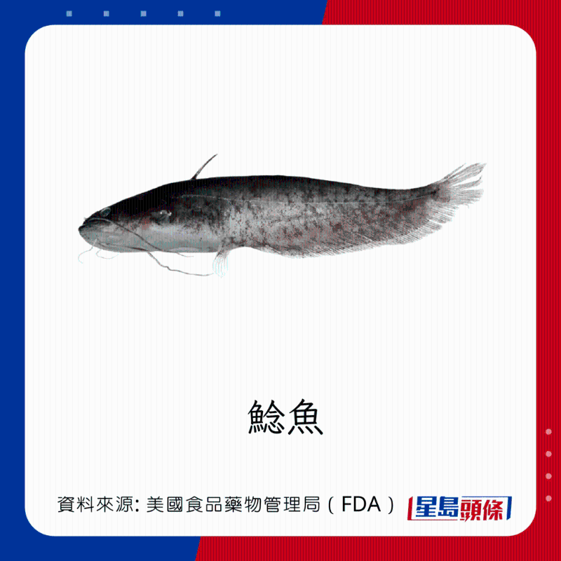 醫(yī)生列62種安全+危險(xiǎn)魚類 最佳選擇 （汞含量最少）