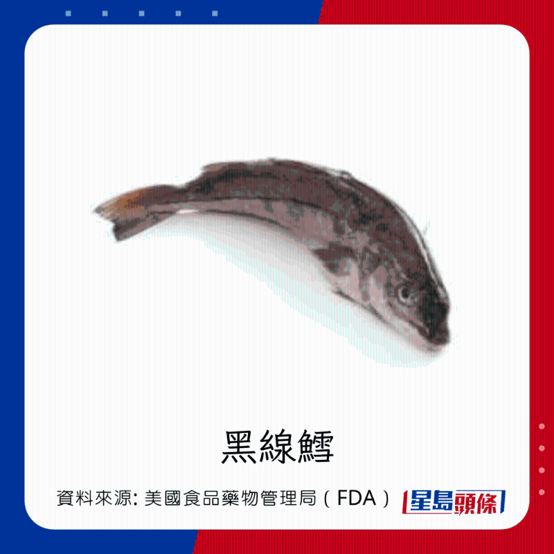 醫(yī)生列62種安全+危險(xiǎn)魚類 最佳選擇 （汞含量最少）