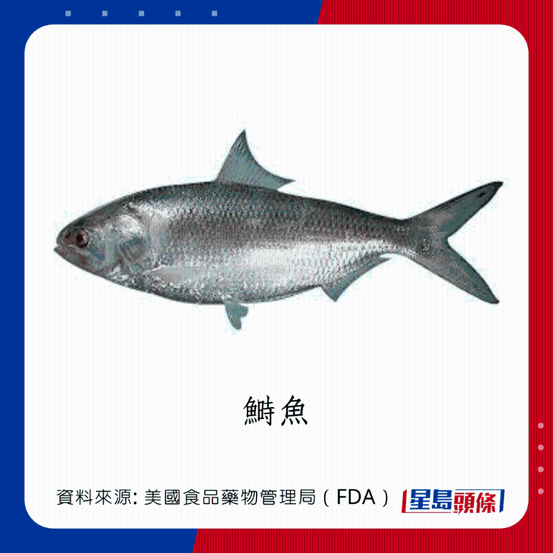 醫(yī)生列62種安全+危險(xiǎn)魚類 最佳選擇 （汞含量最少）
