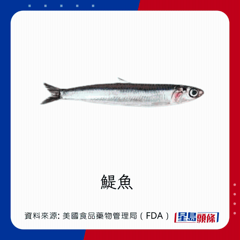 醫(yī)生列62種安全+危險(xiǎn)魚類 最佳選擇 （汞含量最少）