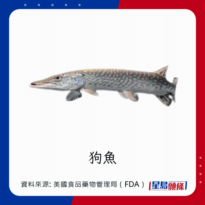 醫(yī)生列62種安全+危險(xiǎn)魚類 最佳選擇 （汞含量最少）