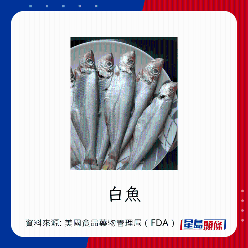 醫(yī)生列62種安全+危險(xiǎn)魚類 最佳選擇 （汞含量最少）