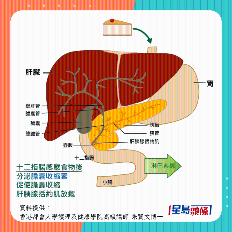 膽結(jié)石形成過程