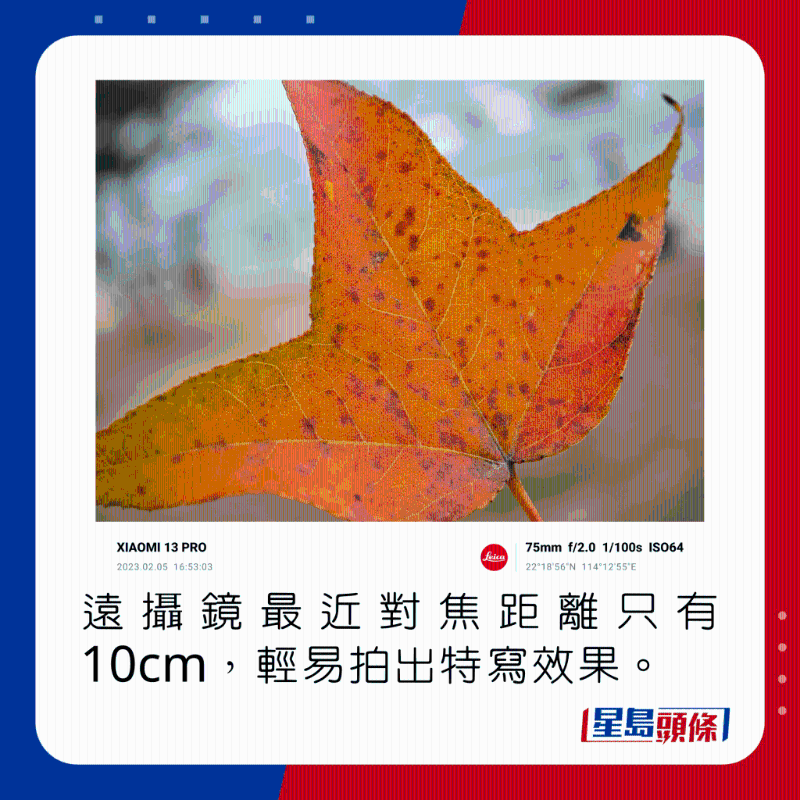 由於遠攝鏡最近對焦距離只有10cm，可輕易拍出不同的特寫效果。