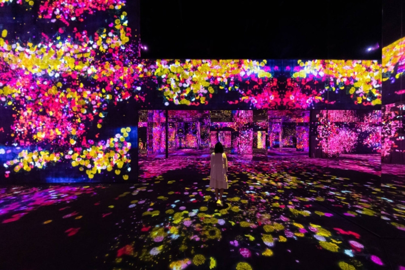 macauteamlab07