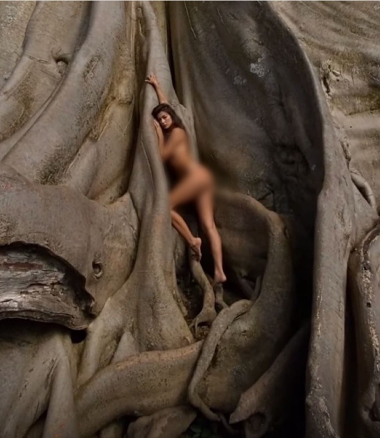 女網(wǎng)紅Alina Yoga全裸依偎「700年聖樹」。 IG