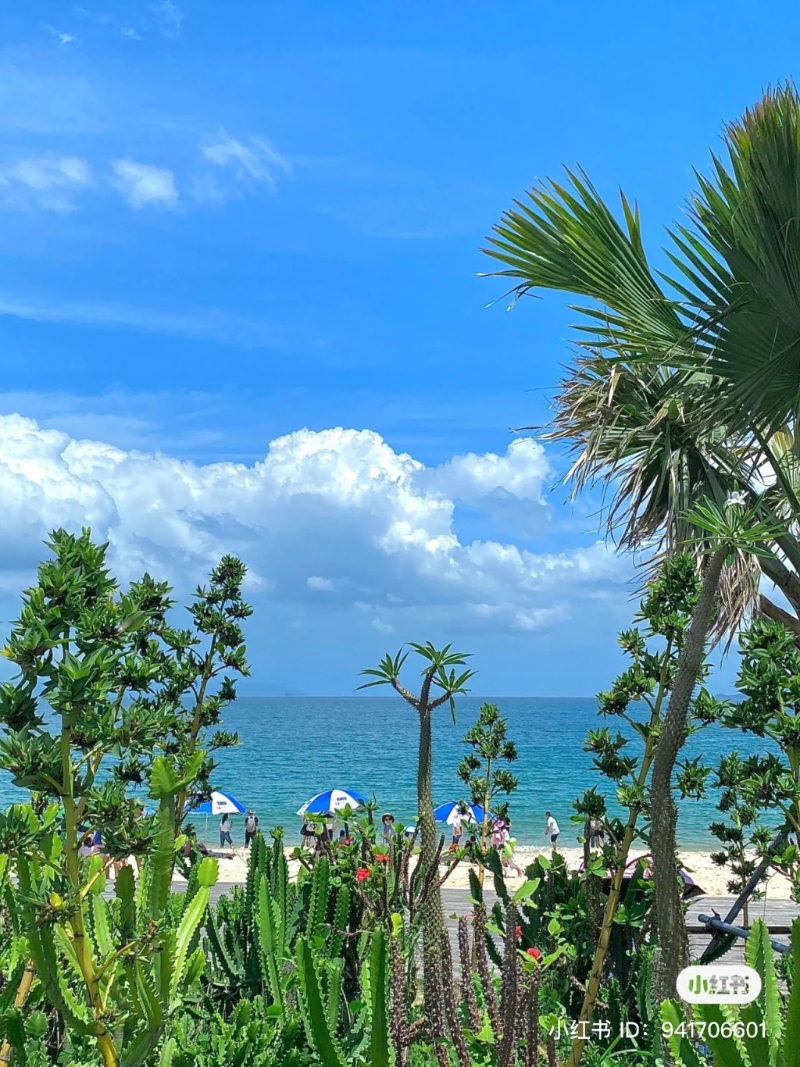 大梅沙
