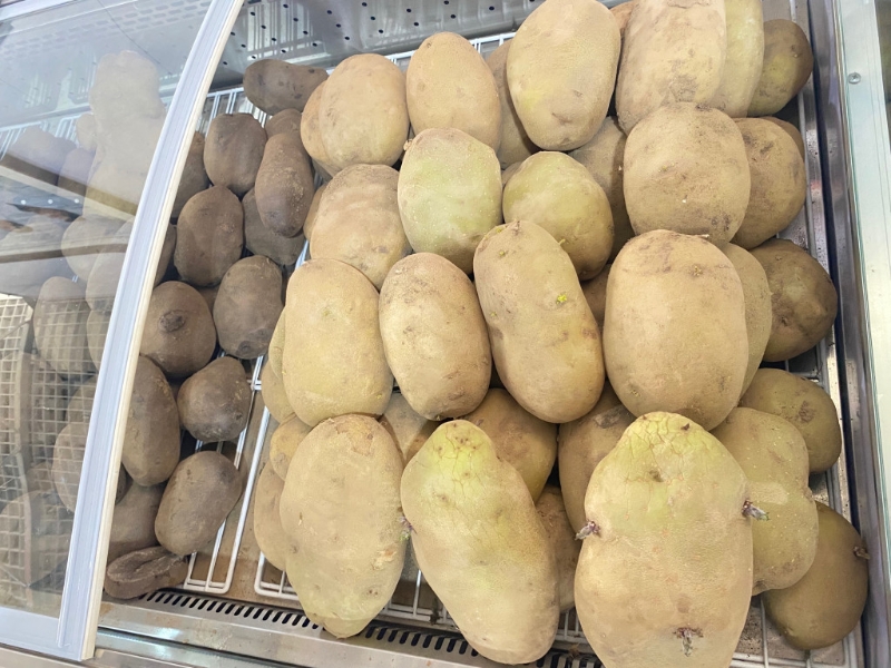 土豆