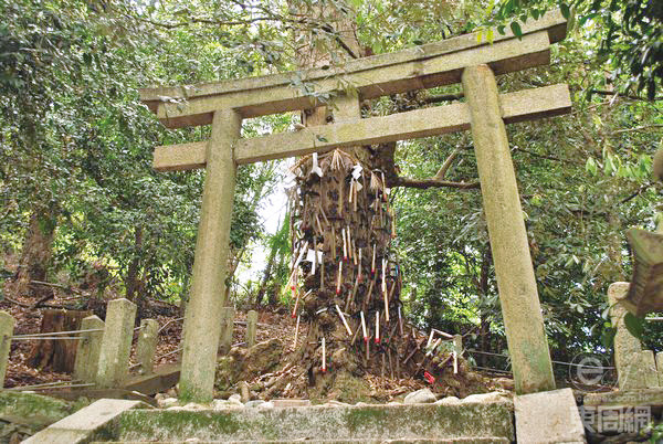 神社內(nèi)最突出的地方，就是這棵插滿鐮刀的樸樹。