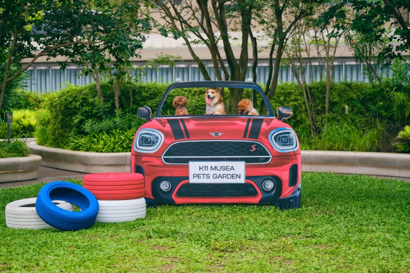 香港首個(gè)汽車(chē)主題寵物花園，K11 Musea 和 MINI聯(lián)手打造