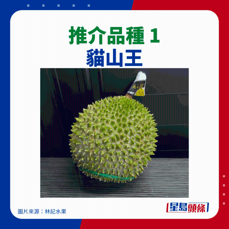 貓山王