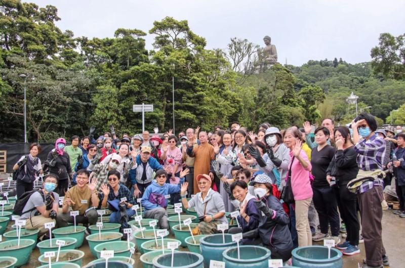 寶蓮禪寺今年初招募了150名荷花種植義工，經(jīng)香港園藝學(xué)會(huì)種植專家培訓(xùn)后，與凈因大和尚一同種植荷花。