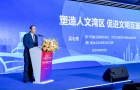 吳志良：建設(shè)人文灣區(qū)，塑造共同價值認同