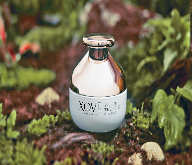 Xove