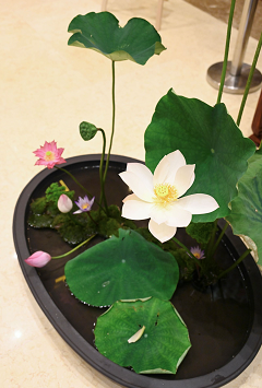 華開蓮現(xiàn)