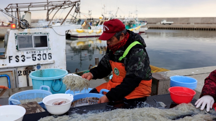 日本漁民在福島第一核電站附近的漁港整理魚獲。