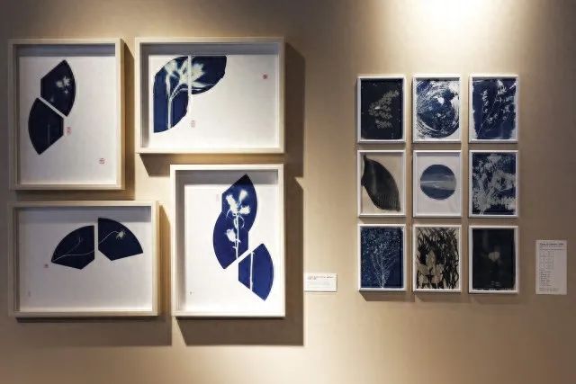agnès b. X 香港藝術(shù)家陳澤雷藍曬藝術(shù)展