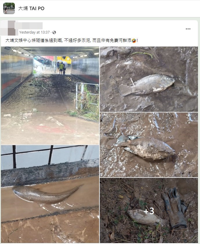 樓主帖文。