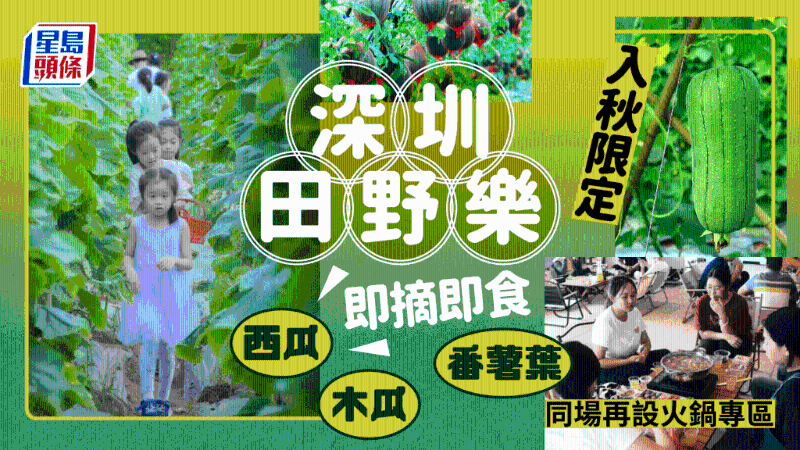 秋季限定！深圳光明體驗(yàn)田園采摘，即摘即食西瓜、甘蔗、木瓜