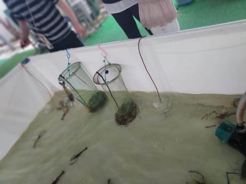 農(nóng)莊設(shè)有釣蝦、釣魚場(chǎng)，即釣即燒夠新鮮惹味。 （圖片來源：天水圍富來休閑農(nóng)莊及釣魚場(chǎng)）