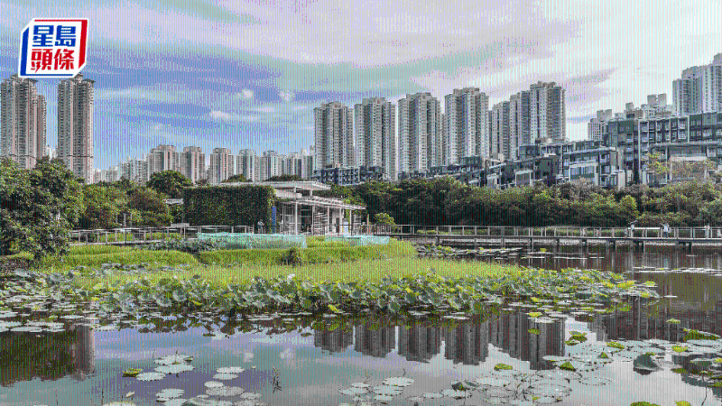“減辣”能吸引人才來港置業(yè)。