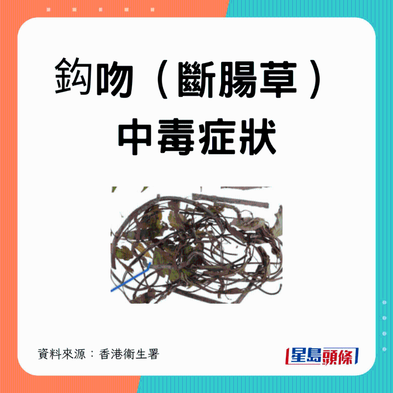 斷腸草 中毒癥狀