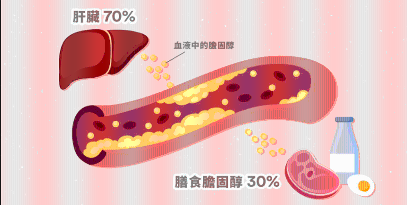 血液中的膽固醇，只有20至30%是直接經(jīng)由食物吸收（圖片來源：「Nutri Life 注冊營養(yǎng)師」facebook）