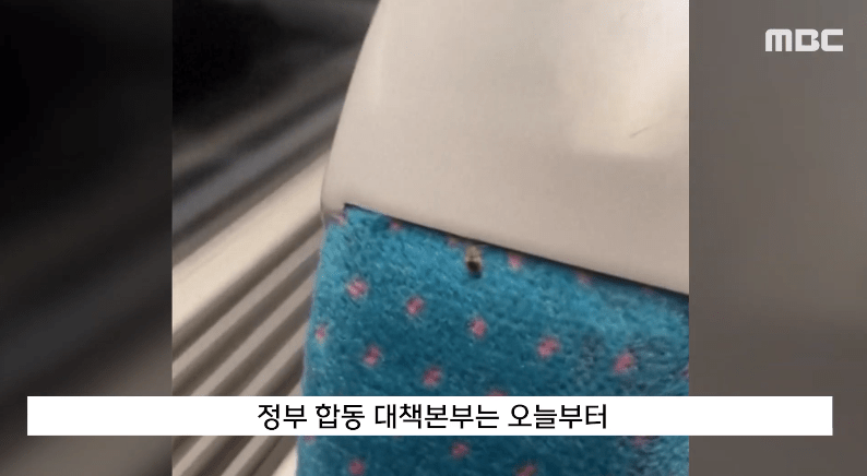 南韓交通工具座椅出現(xiàn)蝨患（影片截圖：MBC）