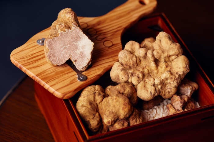 意大利阿爾巴的白松露每年視乎產(chǎn)量、大小及重量定價，相當(dāng)矜貴。
