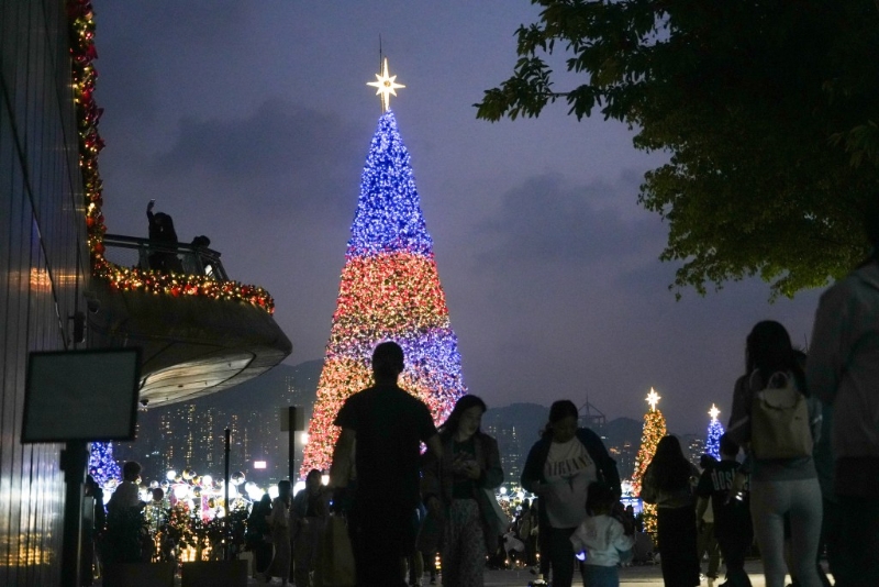 圣誕樹今日在草坪西面亮燈。 吳艷玲攝