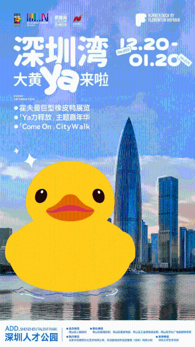 大黃鴨即將在深圳灣展出。